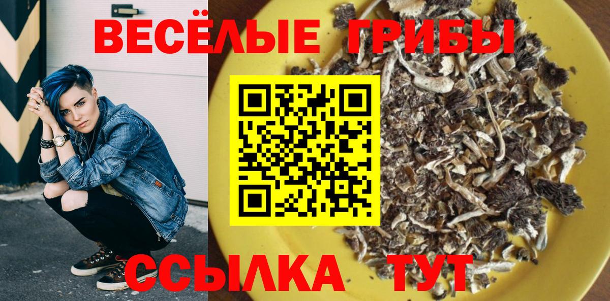 Псилоцибиновые грибы Psilocybine cubensis  Вход с VPN  Щёлково 